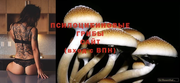 трава Вязьма