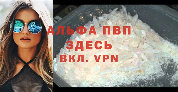 PSILOCYBIN Дмитров