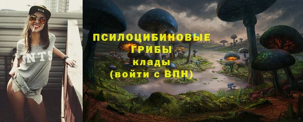 крисы Вяземский