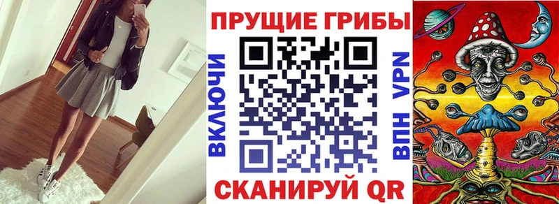 где купить наркотик  блэк спрут как войти  Галлюциногенные грибы мицелий  Егорьевск 