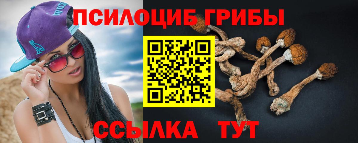 Псилоцибиновые грибы мухоморы  Псилоцибиновые грибы Cubensis  Вход с VPN  Егорьевск 