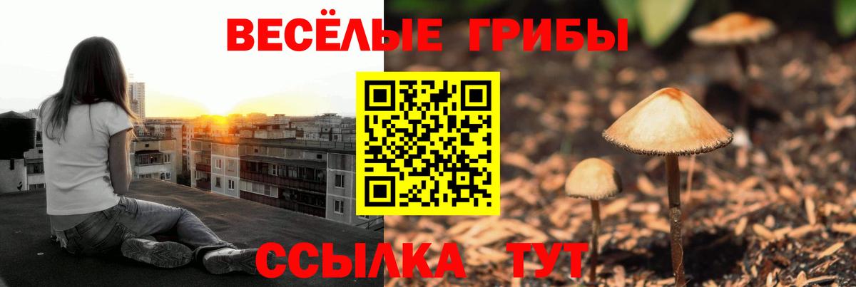 Галлюциногенные грибы Psilocybine cubensis Егорьевск