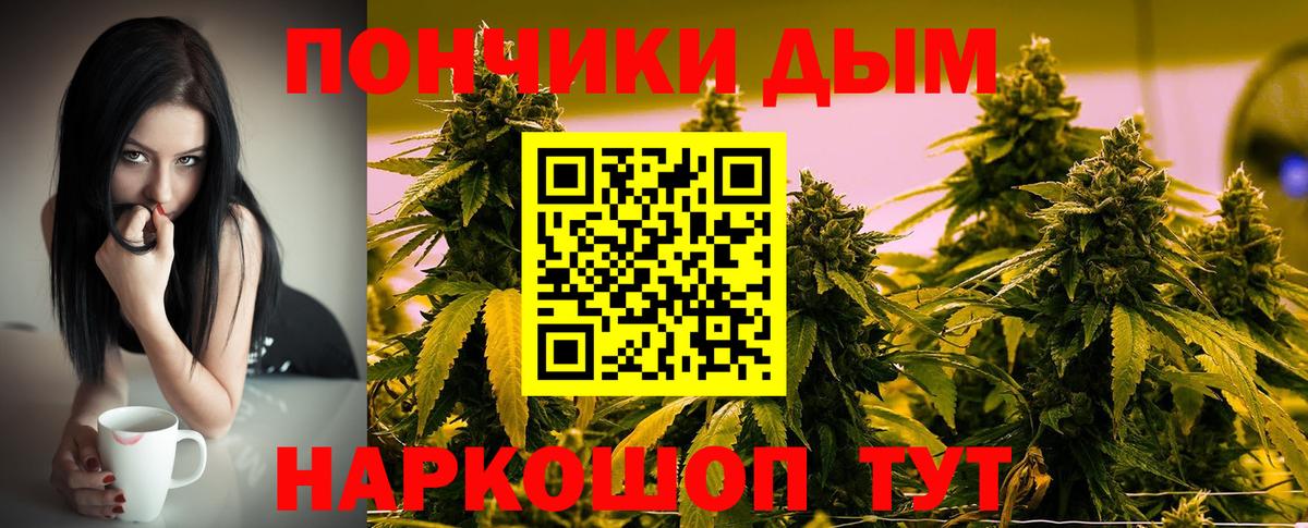 Шишки марихуана планчик Егорьевск